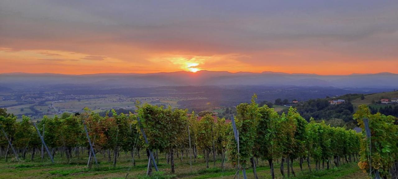 Апартаменты Wein- Und Weitblick Gleinstatten Экстерьер фото