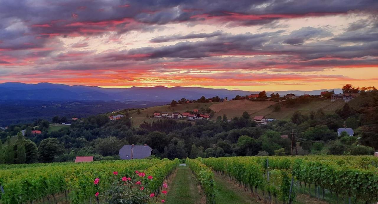 Апартаменты Wein- Und Weitblick Gleinstatten Экстерьер фото